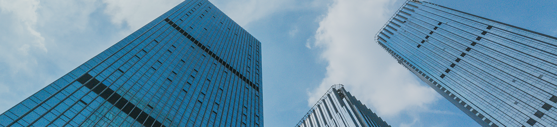 金喜网页版在线登录