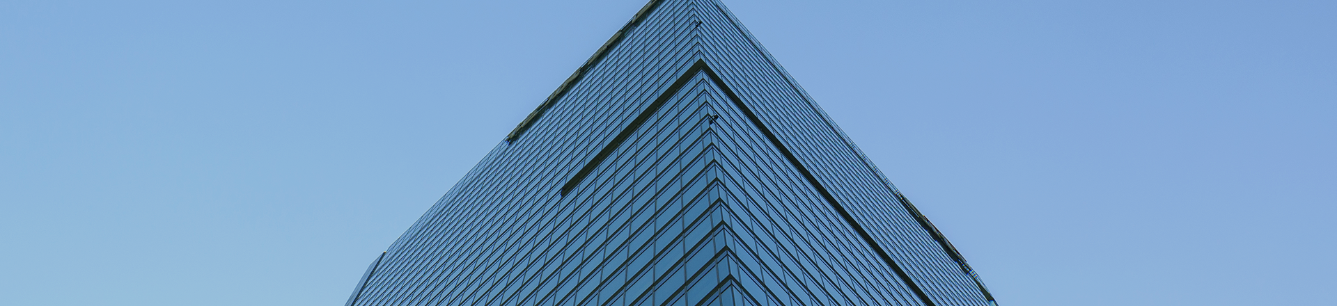 金喜网页版在线登录