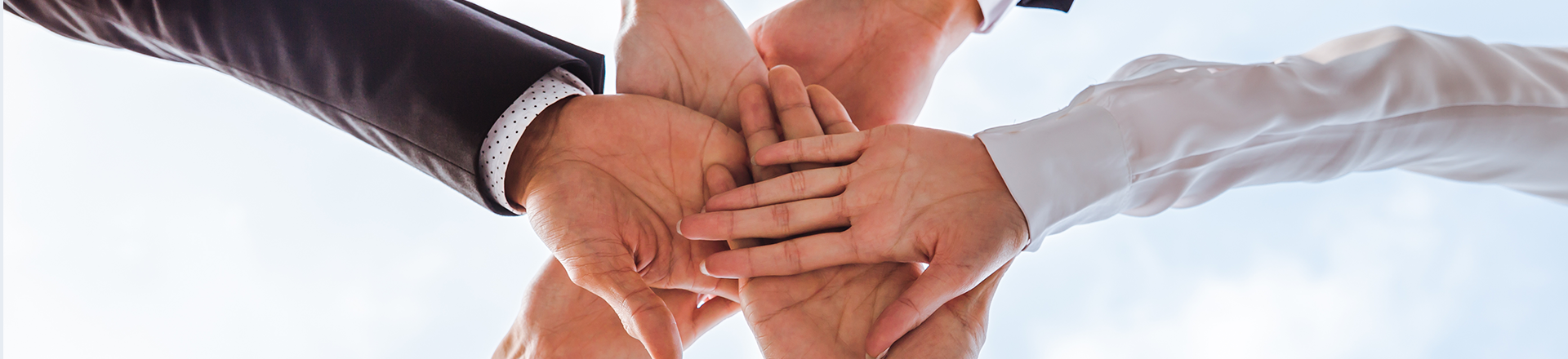 金喜网页版在线登录