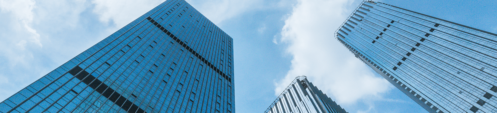 金喜网页版在线登录