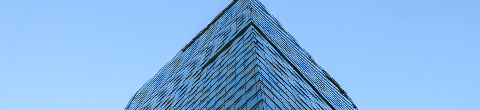 金喜网页版在线登录